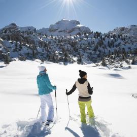 w-snowshoeing-c-tvb-kronplatz-photo-helmuth-rier-20120221-4066-sennes-senes