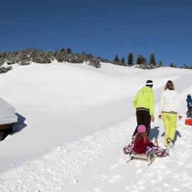 w-tobogganing-c-tvb-kronplatz-photo-helmuth-rier-20120221-4011-sennes-senes