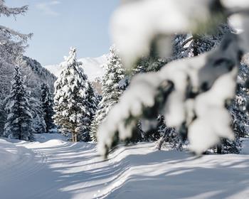 idm-suedtirol-benjamin-pfitscher-1